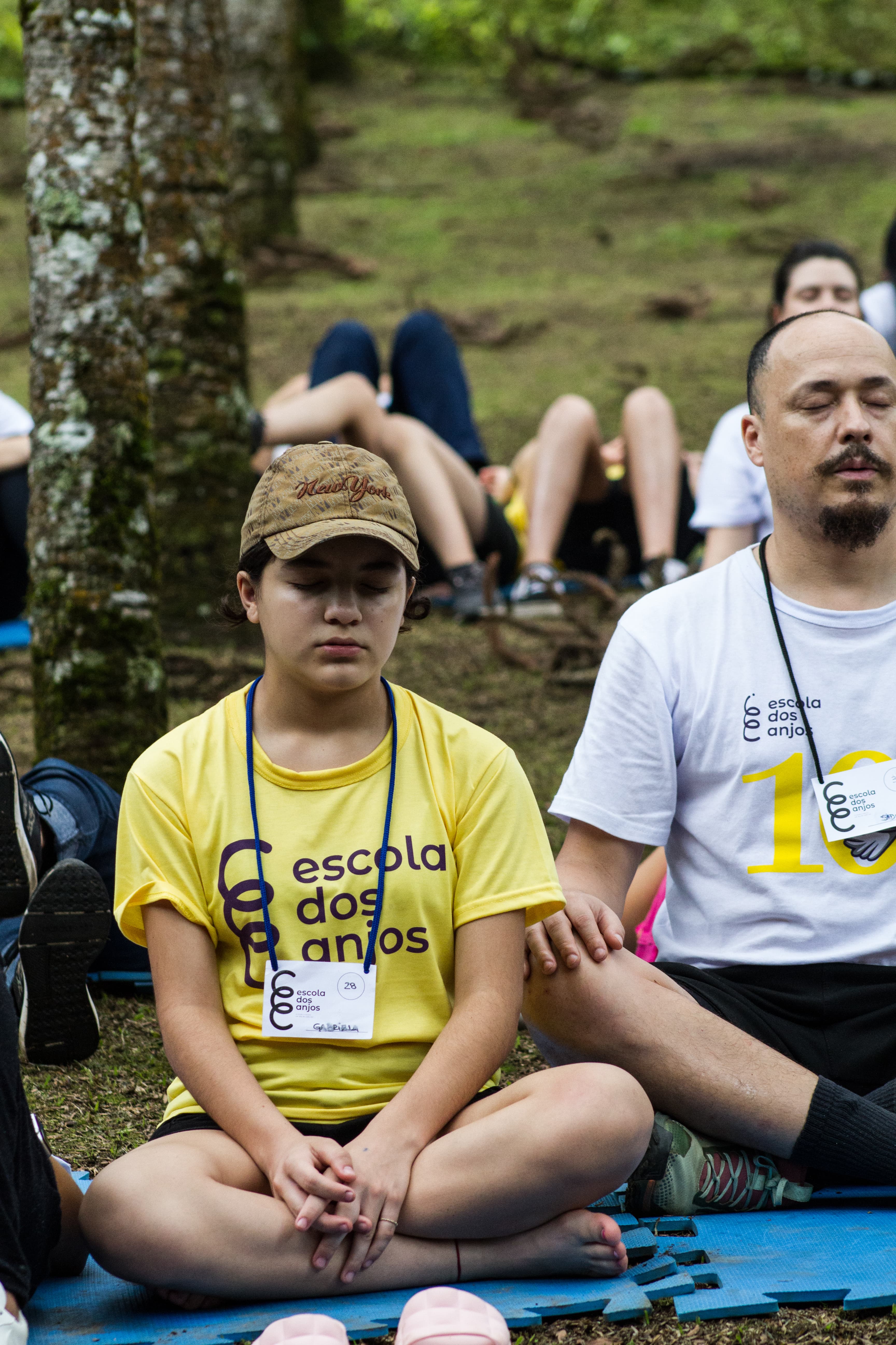 Voluntariado 2